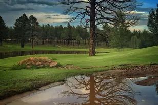 1713 E Solitude Ct, Flagstaff, AZ 86005 - Photo 53