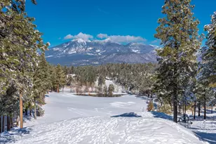 1713 E Solitude Ct, Flagstaff, AZ 86005 - Photo 59