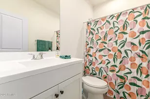 3874 W Serpentine Dr, San Tan Valley, AZ 85144 - Photo 43