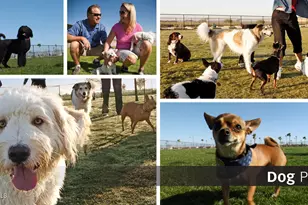 5372 N Eager Dr, Eloy, AZ 85131 - Photo 21