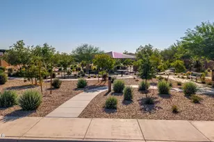 1393 W Calle De Flores, San Tan Valley, AZ 85140 - Photo 49