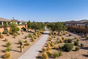 1393 W Calle De Flores, San Tan Valley, AZ 85140 - Photo 51