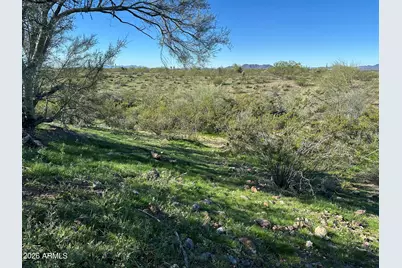 X N 250th Avenue #Lot 4, Morristown, AZ 85342 - Photo 25