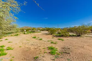 1127 E Joy Ranch Rd, Phoenix, AZ 85086 - Photo 43