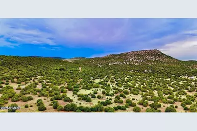 Tbd Co Rd N3218 37 Acres -- #-, Vernon, AZ 85940 - Photo 7