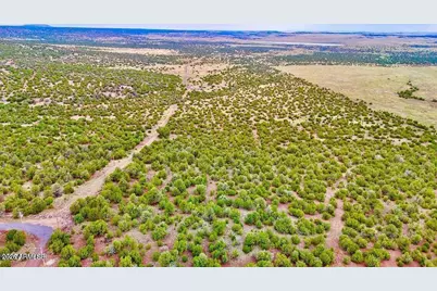 Tbd Co Rd N3218 37 Acres -- #-, Vernon, AZ 85940 - Photo 17