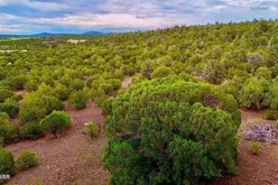 Tbd Co Rd N3218 37 Acres --, Vernon, AZ 85940 - Photo 1