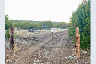 Tbd Co Rd N3218 37 Acres -- #-, Vernon, AZ 85940 - Photo 3