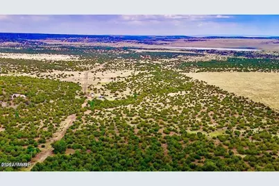 Tbd Co Rd N3218 37 Acres -- #-, Vernon, AZ 85940 - Photo 5