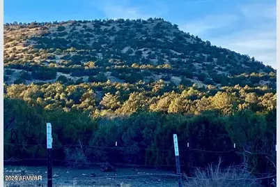 Tbd Co Rd N3218 37 Acres -- #-, Vernon, AZ 85940 - Photo 25