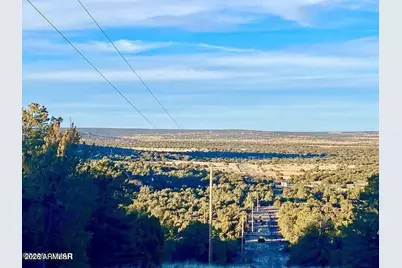Tbd Co Rd N3218 37 Acres -- #-, Vernon, AZ 85940 - Photo 21