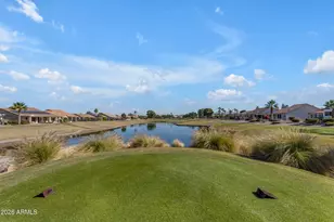 9009 E Cedar Waxwing Dr, Sun Lakes, AZ 85248 - Photo 43