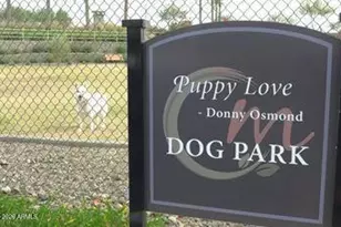 17910 W Silverwood Dr, Goodyear, AZ 85338 - Photo 77