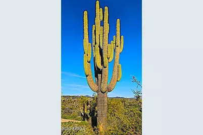 142X3 E Montello Road #-, Scottsdale, AZ 85262 - Photo 29