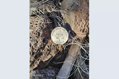 Tbd Acr N8060 -- #86, Concho, AZ 85924 - Photo 13