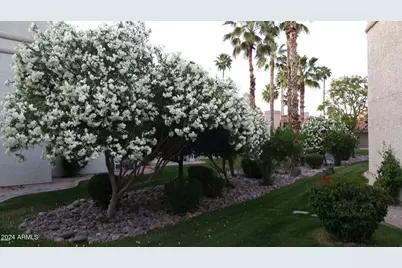 9550 N 94th Place #219, Scottsdale, AZ 85258 - Photo 27