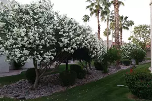 9550 N 94th Pl, Scottsdale, AZ 85258 - Photo 27