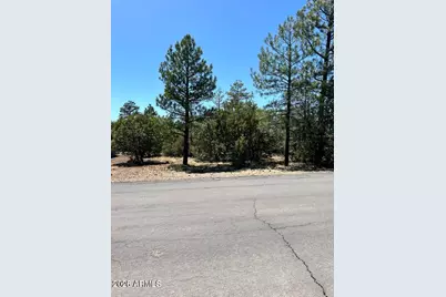4864 Bison Trail #40, Lakeside, AZ 85929 - Photo 1