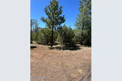 4864 Bison Trail #40, Lakeside, AZ 85929 - Photo 3