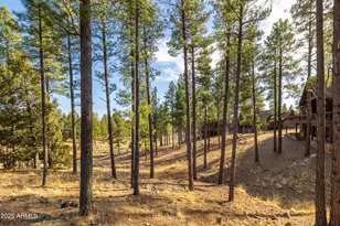 2649 S Bluebird Ct, Flagstaff, AZ 86005 - Photo 45