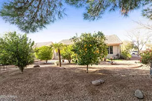 9020 E Coopers Hawk Dr, Sun Lakes, AZ 85248 - Photo 29