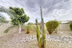 4445 E Meadow Dr, Phoenix, AZ 85032 - Photo 41