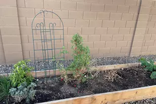 3009 E Riding Boot Wy, San Tan Valley, AZ 85140 - Photo 19