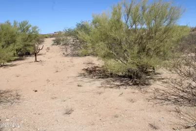 14223 S Shaw Road #00330, Tucson, AZ 85736 - Photo 3