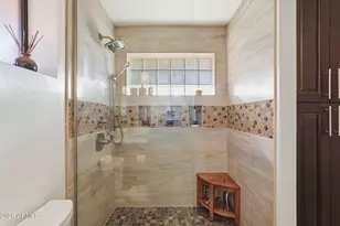 8243 E Nido Ave, Mesa, AZ 85209 - Photo 31