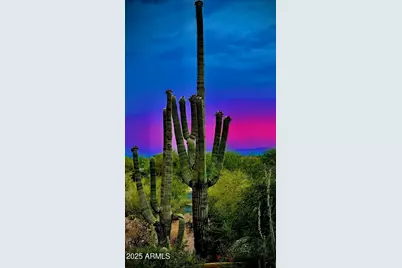 8526 E Hackamore Drive, Scottsdale, AZ 85255 - Photo 39