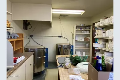 102 E Barrel Cactus Lane, Florence, AZ 85132 - Photo 35