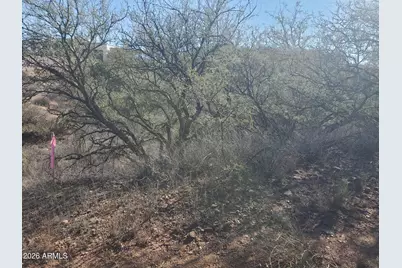 909 Paseo Los Mochis -- #40, Rio Rico, AZ 85648 - Photo 1