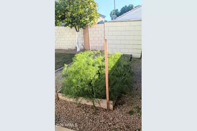 1871 E Buffalo Street, Chandler, AZ 85225 - Photo 31