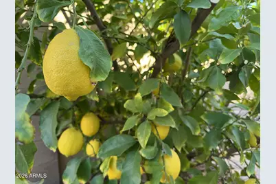 2747 E Canyon Creek Drive, Gilbert, AZ 85295 - Photo 33