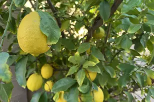 2747 E Canyon Creek Dr, Gilbert, AZ 85295 - Photo 33