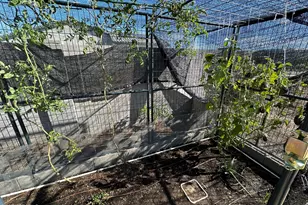 15412 E Palo Brea Ln, Scottsdale, AZ 85262 - Photo 45