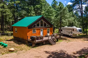 1225 Hwy Loop, Forest Lakes, AZ 85931 - Photo 35