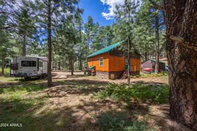 1225 Highway Loop, Forest Lakes, AZ 85931 - Photo 31