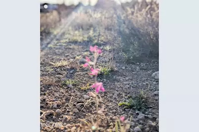 4025 E Red Baron Drive E #405-25-757Z, Rimrock, AZ 86335 - Photo 23