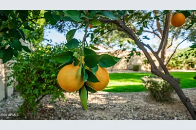 7609 S 18th Way, Phoenix, AZ 85042 - Photo 31