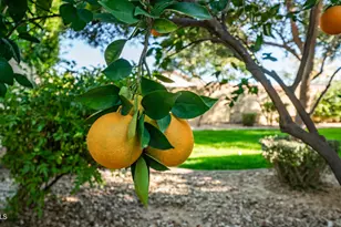 7609 S 18th Way, Phoenix, AZ 85042 - Photo 31