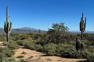 0 N 172nd St, Rio Verde, AZ 85263 - Photo 1
