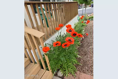 2261 Hanging Tree Lane, Overgaard, AZ 85933 - Photo 3