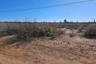 Xxxx Tbd --, Douglas, AZ 85607 - Photo 1
