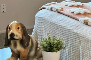 10310 W Bayside Road W, Sun City, AZ 85351 - Photo 17