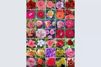 5116 W La Mirada Drive, Laveen, AZ 85339 - Photo 43