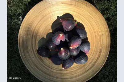 5116 W La Mirada Drive, Laveen, AZ 85339 - Photo 31