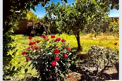 5116 W La Mirada Drive, Laveen, AZ 85339 - Photo 39