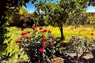 5116 W La Mirada Dr, Laveen, AZ 85339 - Photo 39