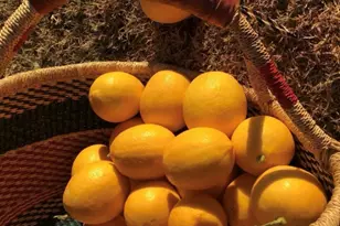 5116 W La Mirada Dr, Laveen, AZ 85339 - Photo 25